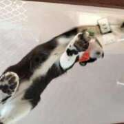 ヒメ日記 2025/04/29 17:33 投稿 あや 川崎・東横人妻城