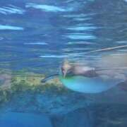 ヒメ日記 2025/10/13 21:24 投稿 あや 川崎・東横人妻城