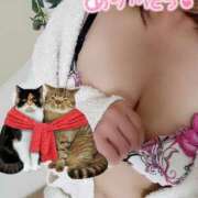 ヒメ日記 2026/01/30 18:25 投稿 あや 川崎・東横人妻城