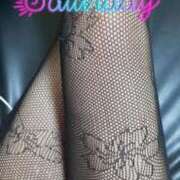 ヒメ日記 2025/04/05 13:04 投稿 めるも 熟女家 堺東店