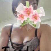 ヒメ日記 2026/02/24 11:17 投稿 めるも 熟女家 堺東店