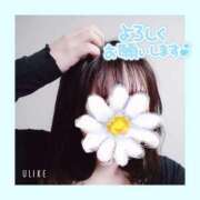 ヒメ日記 2025/01/08 18:20 投稿 みくり 京都出張メンズエステChou Chou（シュシュ)