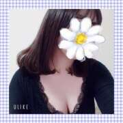 ヒメ日記 2025/01/28 20:10 投稿 みくり 京都出張メンズエステChou Chou（シュシュ)