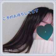 ヒメ日記 2025/11/14 21:40 投稿 みくり 京都出張メンズエステChou Chou（シュシュ)