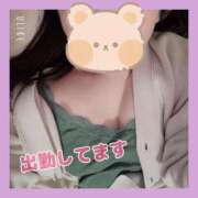 ヒメ日記 2025/11/22 21:50 投稿 みくり 京都出張メンズエステChou Chou（シュシュ)