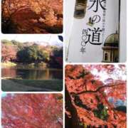 ヒメ日記 2024/12/08 17:30 投稿 ももこ 奥鉄オクテツ神奈川店（デリヘル市場グループ）