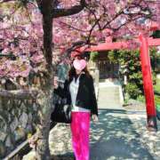 ヒメ日記 2025/03/05 19:07 投稿 ももこ 奥鉄オクテツ神奈川店（デリヘル市場グループ）