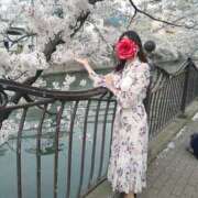 ヒメ日記 2025/04/14 09:51 投稿 ももこ 奥鉄オクテツ神奈川店（デリヘル市場グループ）