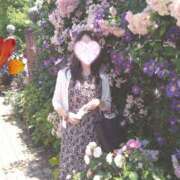 ヒメ日記 2025/04/18 23:18 投稿 ももこ 奥鉄オクテツ神奈川店（デリヘル市場グループ）