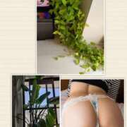 ヒメ日記 2025/09/14 09:56 投稿 ももこ 奥鉄オクテツ神奈川店（デリヘル市場グループ）