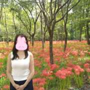 ヒメ日記 2025/09/24 10:04 投稿 ももこ 奥鉄オクテツ神奈川店（デリヘル市場グループ）