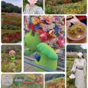 ヒメ日記 2025/10/12 21:11 投稿 ももこ 奥鉄オクテツ神奈川店（デリヘル市場グループ）