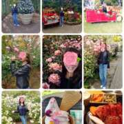 ヒメ日記 2025/11/16 20:00 投稿 ももこ 奥鉄オクテツ神奈川店（デリヘル市場グループ）