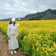 ヒメ日記 2026/02/24 11:06 投稿 ももこ 奥鉄オクテツ神奈川店（デリヘル市場グループ）