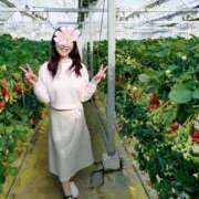 ヒメ日記 2026/02/25 19:01 投稿 ももこ 奥鉄オクテツ神奈川店（デリヘル市場グループ）