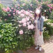 ヒメ日記 2026/05/04 16:50 投稿 ももこ 奥鉄オクテツ神奈川店（デリヘル市場グループ）