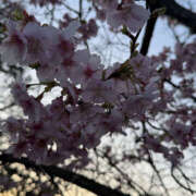 なのは キャンセル 奥鉄オクテツ神奈川店（デリヘル市場グループ）