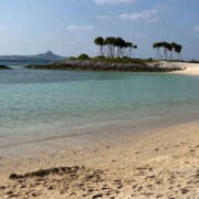 ヒメ日記 2025/04/19 13:15 投稿 ゆりこ 奥鉄オクテツ神奈川店（デリヘル市場グループ）