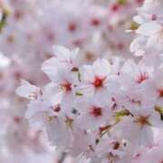 ヒメ日記 2025/04/01 03:07 投稿 えな 奥鉄オクテツ神奈川店（デリヘル市場グループ）