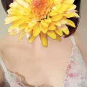 ヒメ日記 2025/04/06 10:31 投稿 えな 奥鉄オクテツ神奈川店（デリヘル市場グループ）