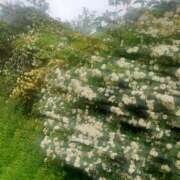 ヒメ日記 2025/05/02 08:54 投稿 えな 奥鉄オクテツ神奈川店（デリヘル市場グループ）