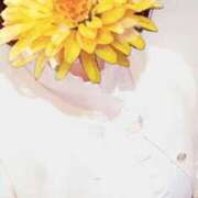 ヒメ日記 2025/05/17 08:07 投稿 えな 奥鉄オクテツ神奈川店（デリヘル市場グループ）