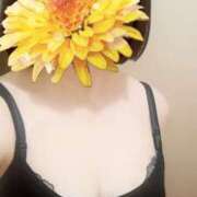 ヒメ日記 2025/07/09 08:39 投稿 えな 奥鉄オクテツ神奈川店（デリヘル市場グループ）