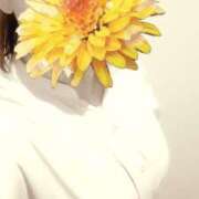 ヒメ日記 2025/09/10 07:55 投稿 えな 奥鉄オクテツ神奈川店（デリヘル市場グループ）