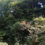 ヒメ日記 2025/09/25 08:51 投稿 えな 奥鉄オクテツ神奈川店（デリヘル市場グループ）