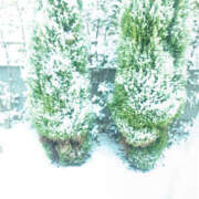 えな レインブーツ 奥鉄オクテツ神奈川店（デリヘル市場グループ）