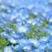 えな 楽しみな季節 奥鉄オクテツ神奈川店（デリヘル市場グループ）