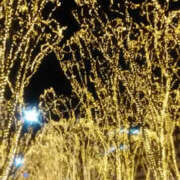 ヒメ日記 2024/12/22 11:55 投稿 しずか 奥鉄オクテツ神奈川店（デリヘル市場グループ）