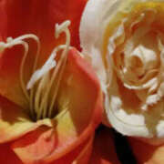 ヒメ日記 2025/02/07 03:04 投稿 しずか 奥鉄オクテツ神奈川店（デリヘル市場グループ）