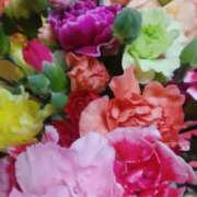 ヒメ日記 2025/02/25 12:45 投稿 しずか 奥鉄オクテツ神奈川店（デリヘル市場グループ）