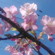 ヒメ日記 2025/02/27 13:20 投稿 しずか 奥鉄オクテツ神奈川店（デリヘル市場グループ）