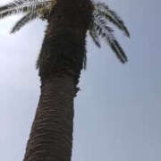 ヒメ日記 2025/03/22 05:12 投稿 しずか 奥鉄オクテツ神奈川店（デリヘル市場グループ）