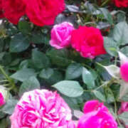 ヒメ日記 2025/05/11 12:07 投稿 しずか 奥鉄オクテツ神奈川店（デリヘル市場グループ）