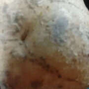 ヒメ日記 2025/05/20 02:07 投稿 しずか 奥鉄オクテツ神奈川店（デリヘル市場グループ）