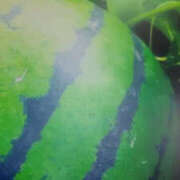 ヒメ日記 2025/06/17 10:25 投稿 しずか 奥鉄オクテツ神奈川店（デリヘル市場グループ）