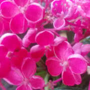 ヒメ日記 2025/06/26 03:16 投稿 しずか 奥鉄オクテツ神奈川店（デリヘル市場グループ）