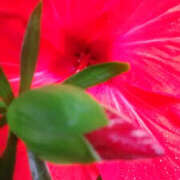 ヒメ日記 2025/07/08 01:26 投稿 しずか 奥鉄オクテツ神奈川店（デリヘル市場グループ）