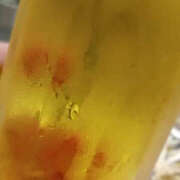 ヒメ日記 2025/07/09 02:24 投稿 しずか 奥鉄オクテツ神奈川店（デリヘル市場グループ）