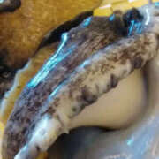 ヒメ日記 2025/08/13 01:28 投稿 しずか 奥鉄オクテツ神奈川店（デリヘル市場グループ）