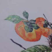 ヒメ日記 2025/08/27 04:38 投稿 しずか 奥鉄オクテツ神奈川店（デリヘル市場グループ）