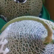 ヒメ日記 2025/10/20 13:33 投稿 しずか 奥鉄オクテツ神奈川店（デリヘル市場グループ）