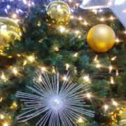 ヒメ日記 2025/11/12 03:08 投稿 しずか 奥鉄オクテツ神奈川店（デリヘル市場グループ）