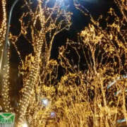 ヒメ日記 2025/12/11 02:47 投稿 しずか 奥鉄オクテツ神奈川店（デリヘル市場グループ）