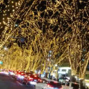 ヒメ日記 2025/12/24 00:34 投稿 しずか 奥鉄オクテツ神奈川店（デリヘル市場グループ）