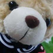 ヒメ日記 2026/01/17 15:35 投稿 しずか 奥鉄オクテツ神奈川店（デリヘル市場グループ）