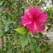 ヒメ日記 2025/03/28 07:36 投稿 あき 奥鉄オクテツ神奈川店（デリヘル市場グループ）